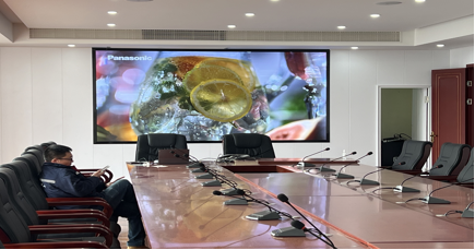 成都巨峰玻璃有限公司（海信T.15）LED会议大屏